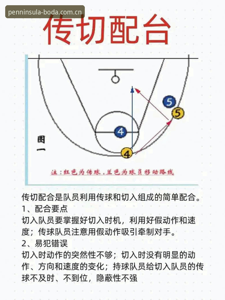 半岛体育篮球 半岛体育平台篮球板块新手入门指南:从观赛到数据追踪